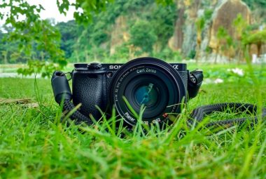 Black Camera On Green Grass